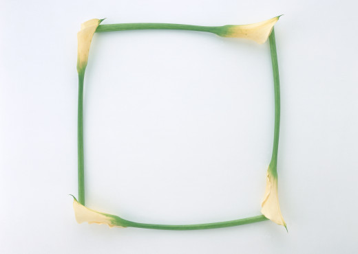 698054 (a): :2950x2094